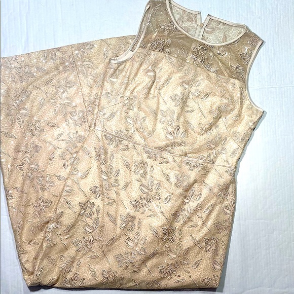 Lauren Ralph Lauren Embroidered Sequins Sleeveless Champagne MaXi Dress NWT 12 - Picture 5 of 15